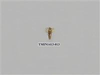 藏品(夜蛾科)的圖片